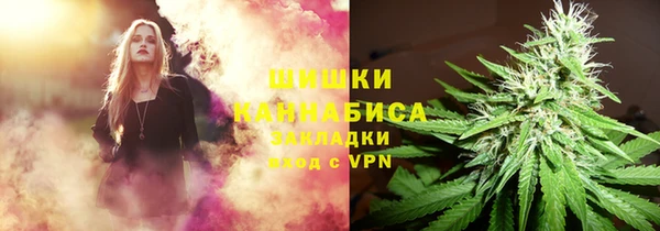 прущие грибы Липки