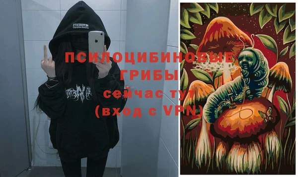 apvp Баксан