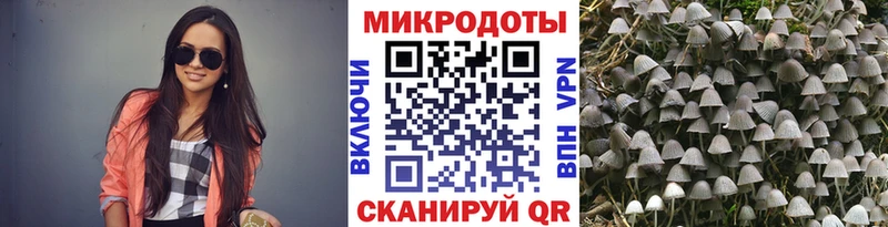 цена   Куровское  блэк спрут сайт  Псилоцибиновые грибы мухоморы 